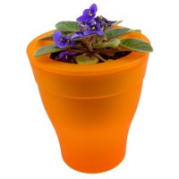 /album/photo-gallery-ghivece-pots/ghiveci-mare13-jpg/