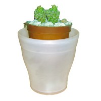 /album/photo-gallery-ghivece-pots/ghiveci-mare11-jpg/