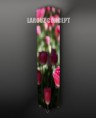 /album/photo-gallery-lampadare-tip-canvas/a181-jpg/