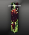 /album/photo-gallery-lampadare-tip-canvas/a248-jpg/